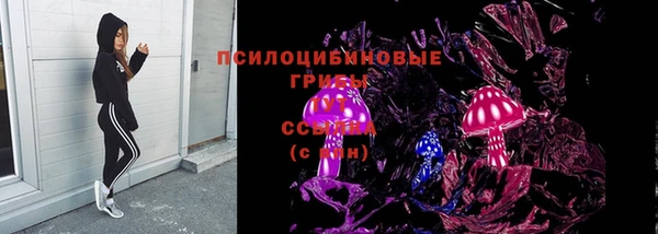 ECSTASY Гусь-Хрустальный