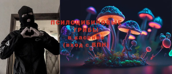 спайс Гусев
