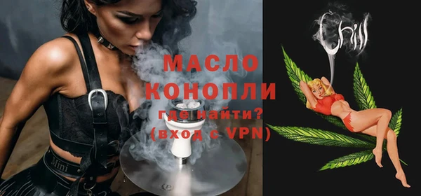 ECSTASY Гусь-Хрустальный