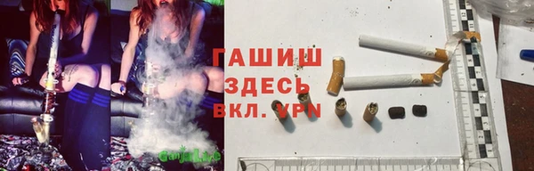 ECSTASY Гусь-Хрустальный