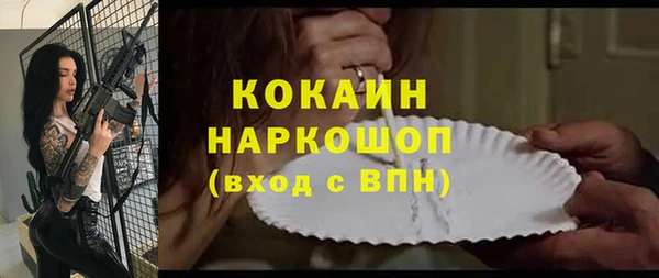 спайс Гусев