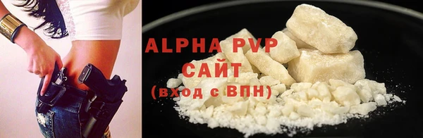 спайс Гусев
