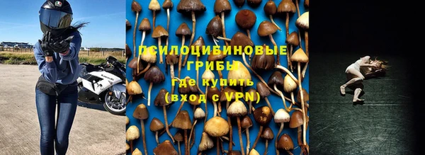 спайс Гусев