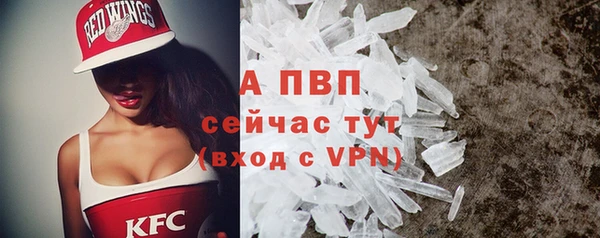ECSTASY Гусь-Хрустальный