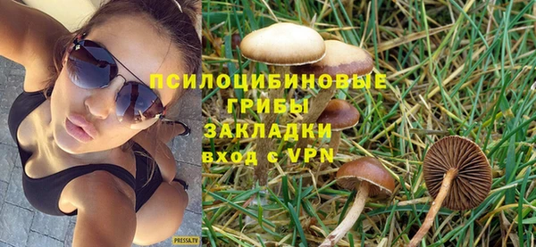 спайс Гусев