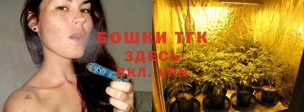 спайс Гусев