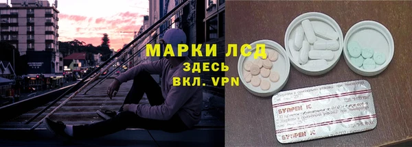 спайс Гусев