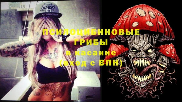 ECSTASY Гусь-Хрустальный