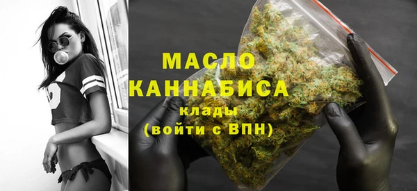 ECSTASY Гусь-Хрустальный