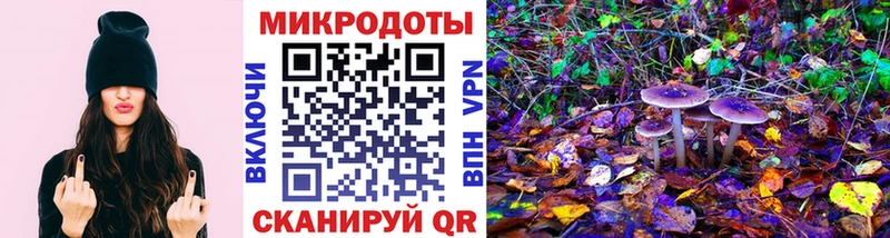Купить где  Ростов-на-Дону  Галлюциногенные грибы прущие грибы 